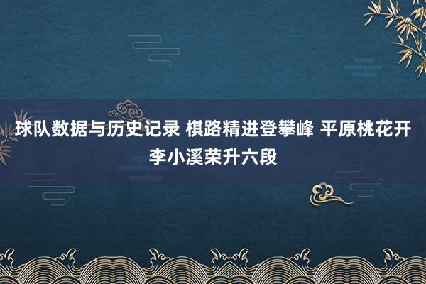 球队数据与历史记录 棋路精进登攀峰 平原桃花开李小溪荣升六段