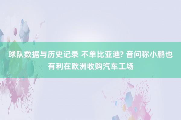 球队数据与历史记录 不单比亚迪? 音问称小鹏也有利在欧洲收购汽车工场
