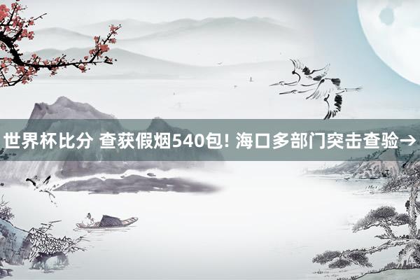 世界杯比分 查获假烟540包! 海口多部门突击查验→