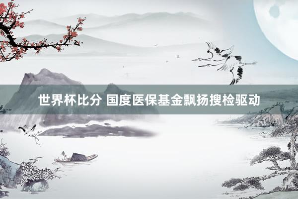 世界杯比分 国度医保基金飘扬搜检驱动