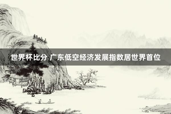 世界杯比分 广东低空经济发展指数居世界首位