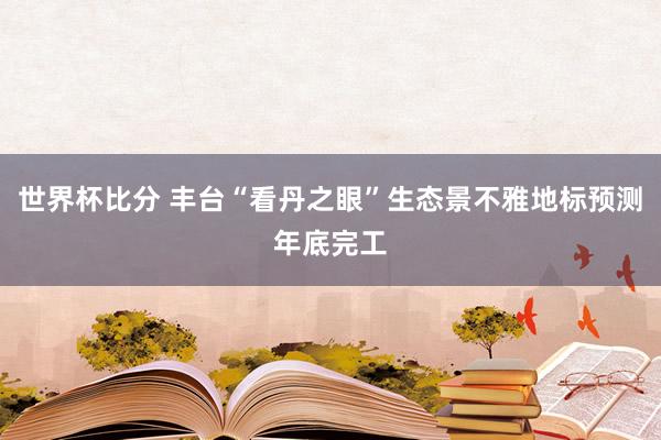 世界杯比分 丰台“看丹之眼”生态景不雅地标预测年底完工