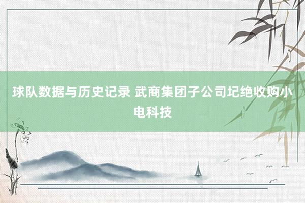 球队数据与历史记录 武商集团子公司圮绝收购小电科技