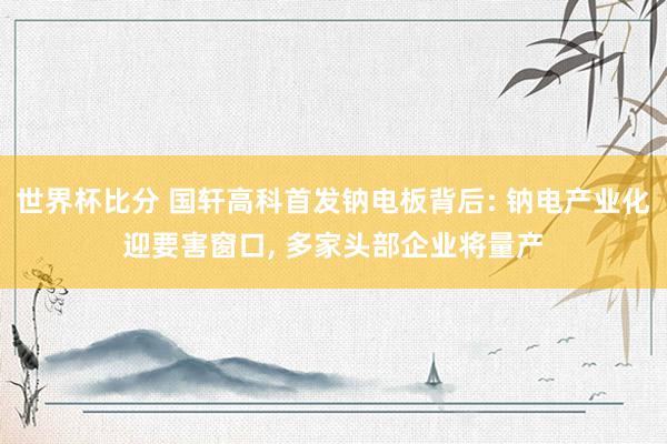 世界杯比分 国轩高科首发钠电板背后: 钠电产业化迎要害窗口， 多家头部企业将量产