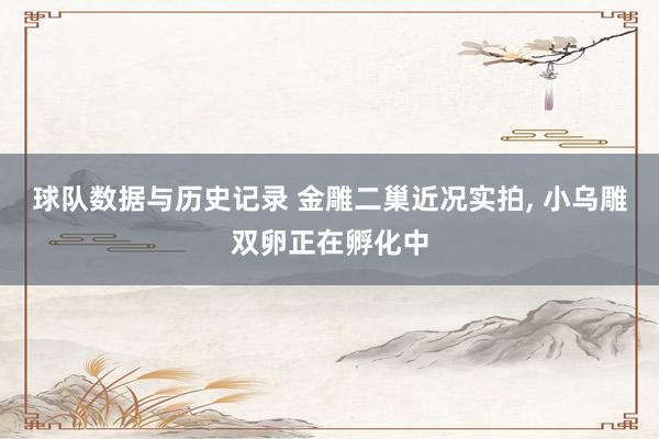 球队数据与历史记录 金雕二巢近况实拍， 小乌雕双卵正在孵化中