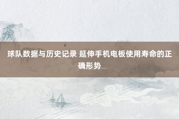 球队数据与历史记录 延伸手机电板使用寿命的正确形势