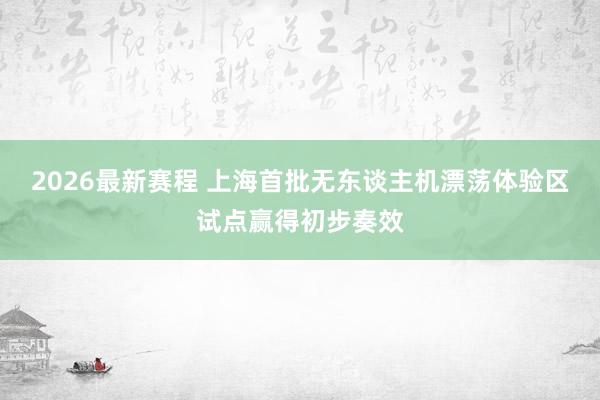 2026最新赛程 上海首批无东谈主机漂荡体验区试点赢得初步奏效