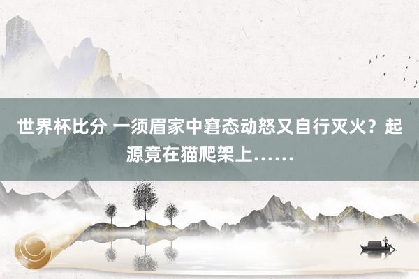 世界杯比分 一须眉家中窘态动怒又自行灭火？起源竟在猫爬架上……