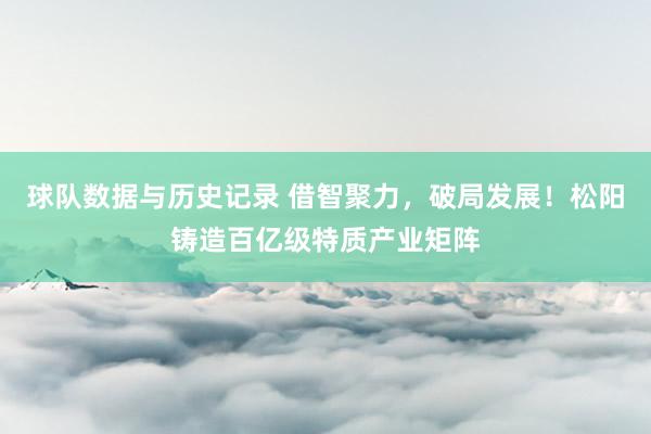 球队数据与历史记录 借智聚力，破局发展！松阳铸造百亿级特质产业矩阵