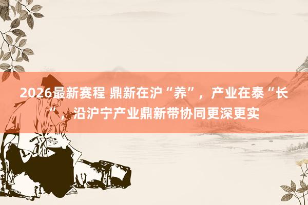 2026最新赛程 鼎新在沪“养”，产业在泰“长”，沿沪宁产业鼎新带协同更深更实