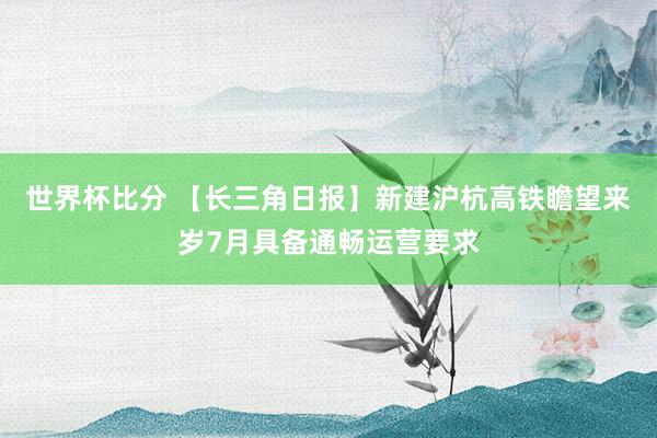 世界杯比分 【长三角日报】新建沪杭高铁瞻望来岁7月具备通畅运营要求