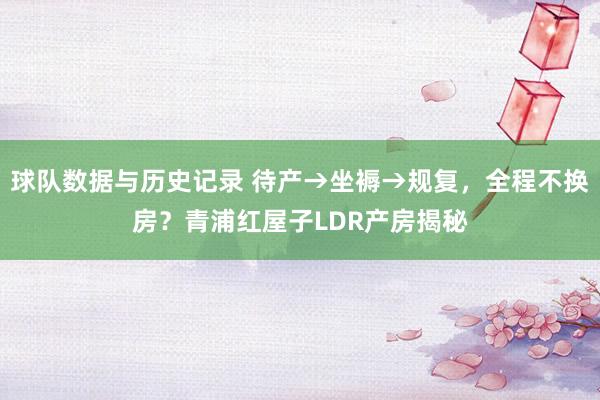 球队数据与历史记录 待产→坐褥→规复，全程不换房？青浦红屋子LDR产房揭秘