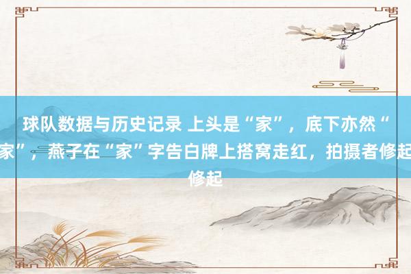 球队数据与历史记录 上头是“家”，底下亦然“家”，燕子在“家”字告白牌上搭窝走红，拍摄者修起