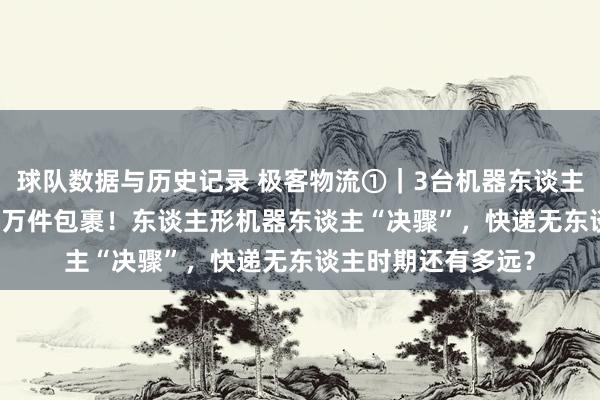 球队数据与历史记录 极客物流①｜3台机器东谈主200小时候拣近25万件包裹！东谈主形机器东谈主“决骤”，快递无东谈主时期还有多远？
