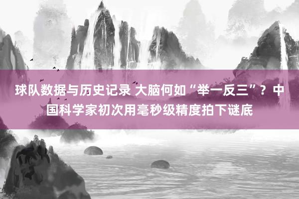 球队数据与历史记录 大脑何如“举一反三”？中国科学家初次用毫秒级精度拍下谜底