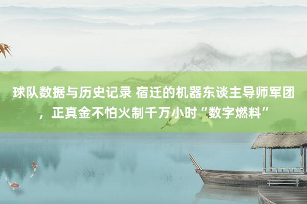 球队数据与历史记录 宿迁的机器东谈主导师军团，正真金不怕火制千万小时“数字燃料”
