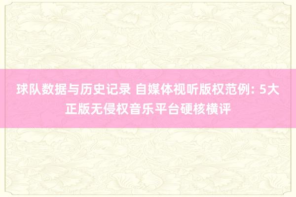 球队数据与历史记录 自媒体视听版权范例: 5大正版无侵权音乐平台硬核横评