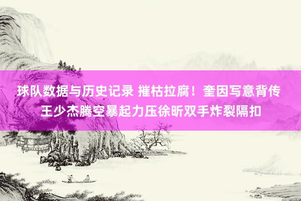 球队数据与历史记录 摧枯拉腐！奎因写意背传 王少杰腾空暴起力压徐昕双手炸裂隔扣