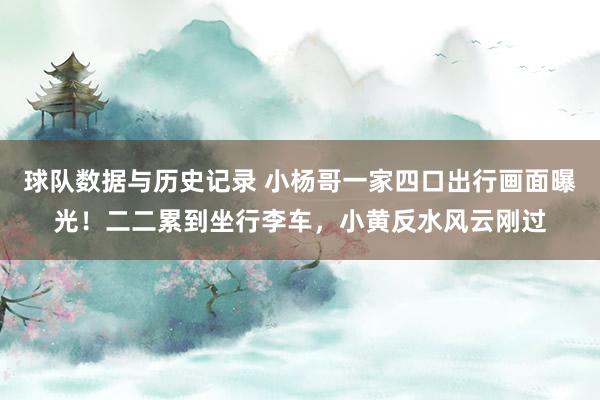 球队数据与历史记录 小杨哥一家四口出行画面曝光！二二累到坐行李车，小黄反水风云刚过