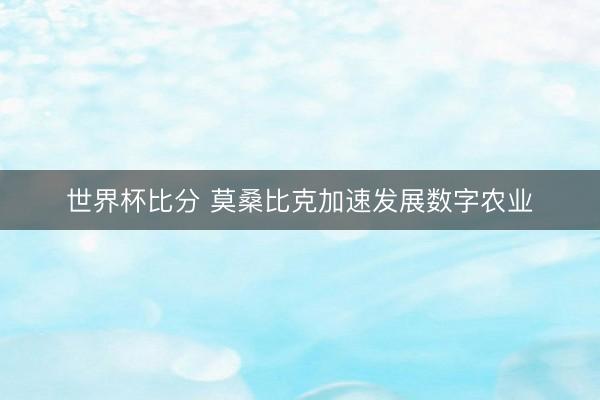 世界杯比分 莫桑比克加速发展数字农业