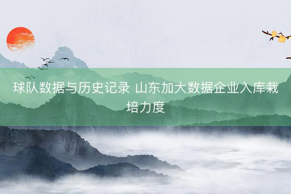 球队数据与历史记录 山东加大数据企业入库栽培力度